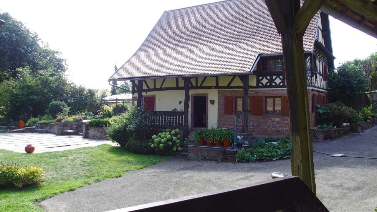 Le Gite Des Ecureuils Schalkendorf Exterior foto